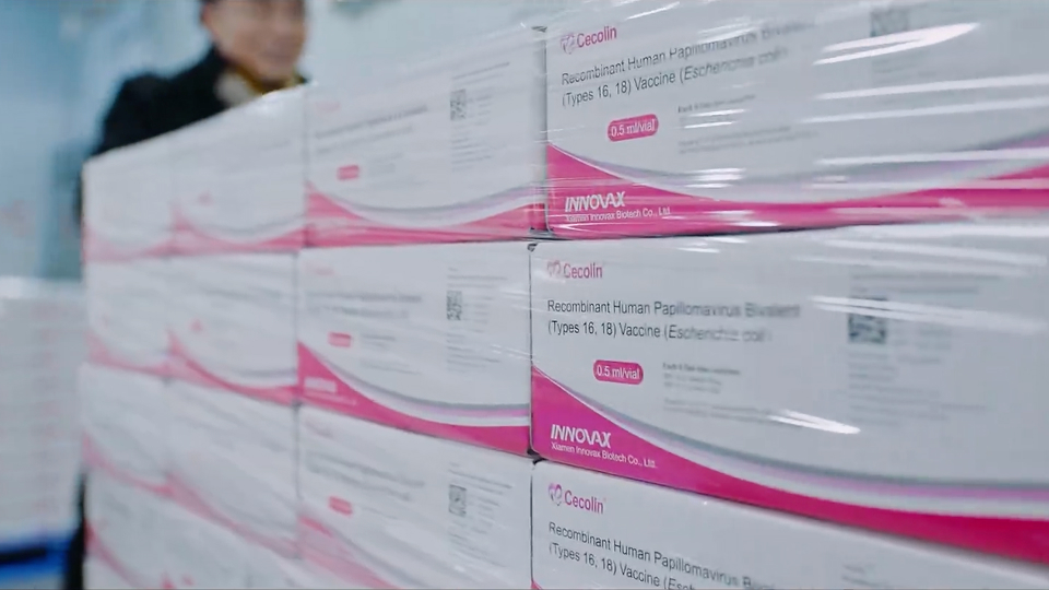 Supply Chain Visibility & Traceability