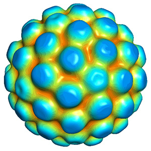 HPV6
