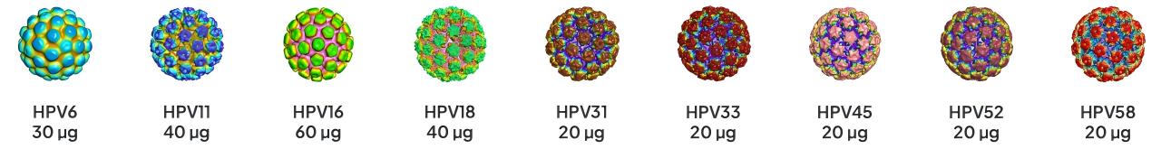 Vlp 02(1)