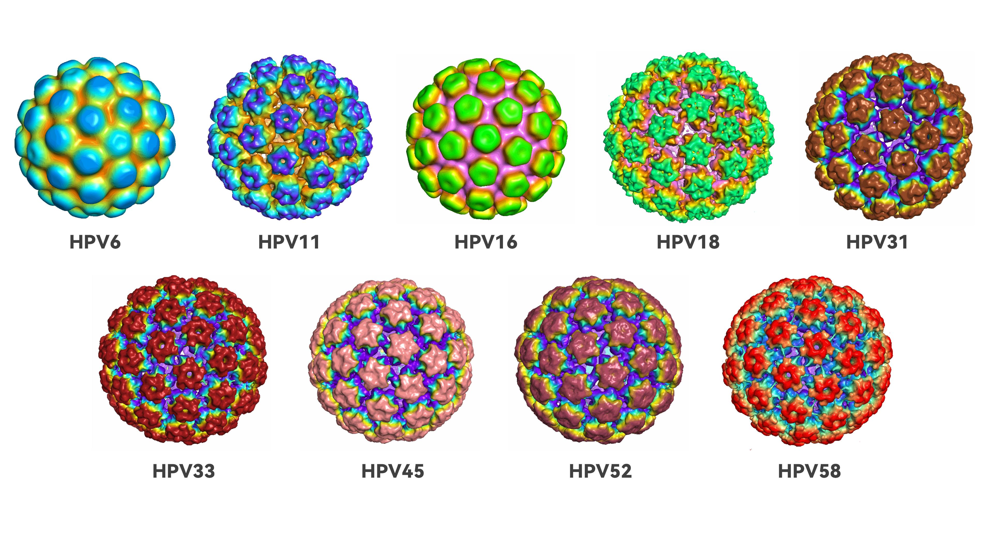 <em>E.coli</em>-derived VLP platform, a scalable platform for next-generation vaccines